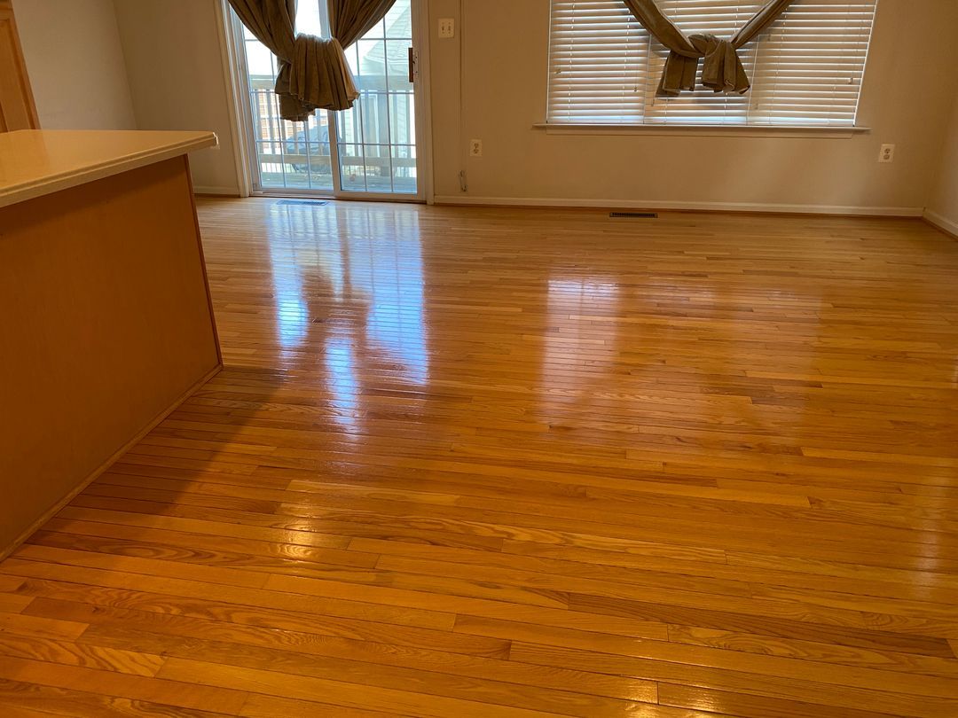 Carpet Cleaning Results